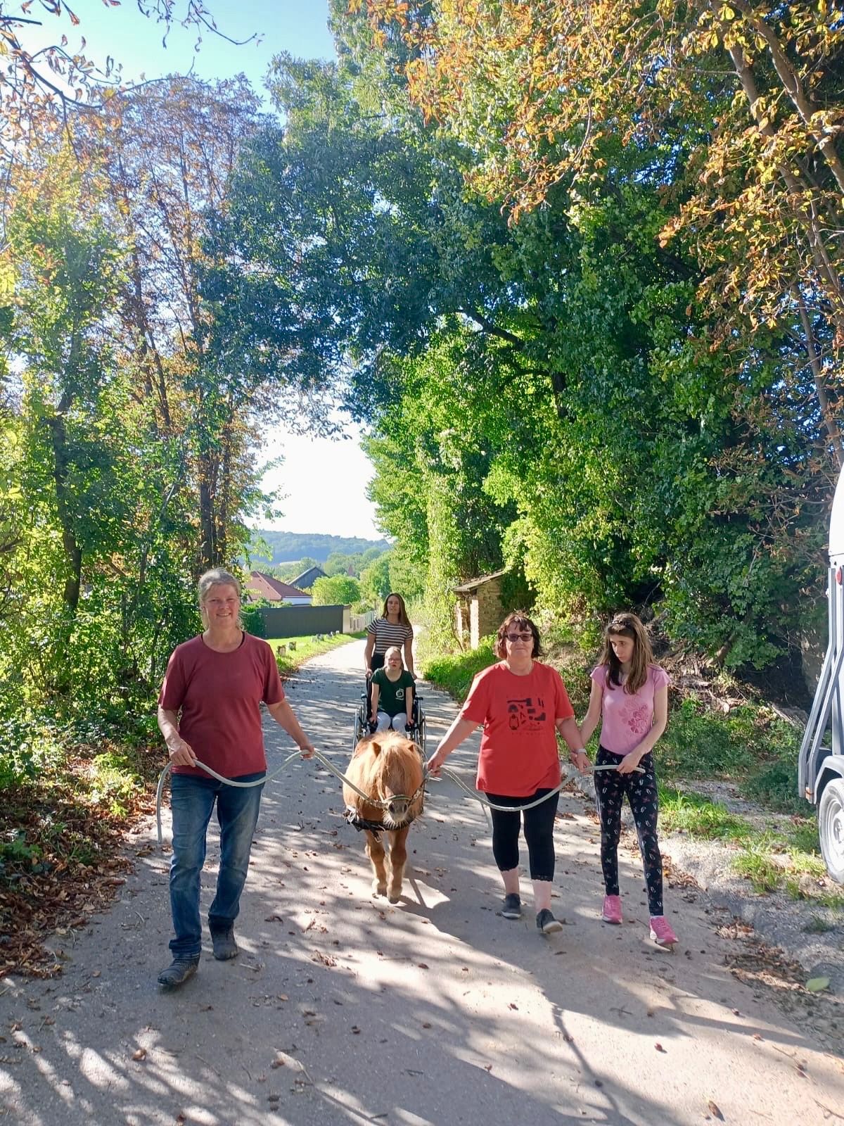 Eine Gruppe von Menschen geht mit einem Miniaturpferd auf einem Feldweg. Eine Person in einem Rollstuhl wird von zwei anderen geschoben. Eine Frau reitet das Pferd und hält die Zügel. Der Weg ist von Bäumen umgeben.