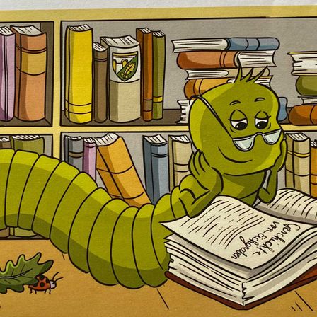 Bild enthält, Book, Publication, Person, Cartoon, Face, Head, Art, Comics