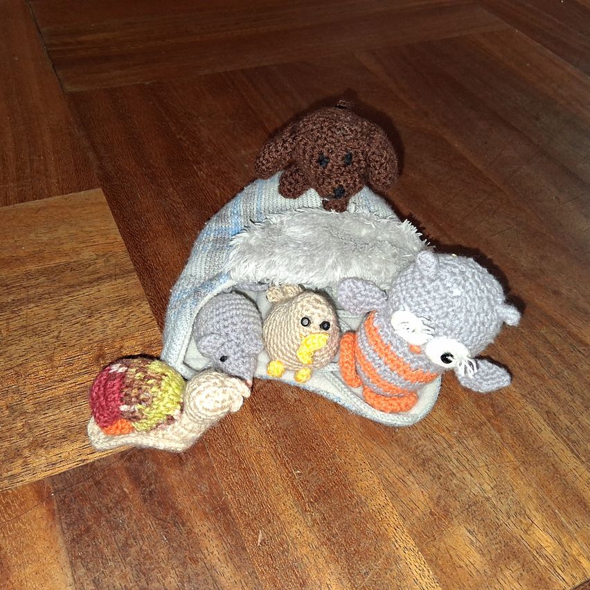 Bild enthält, Wood, Hardwood, Floor, Flooring, Clothing, Hat, Cap, Plush, Toy