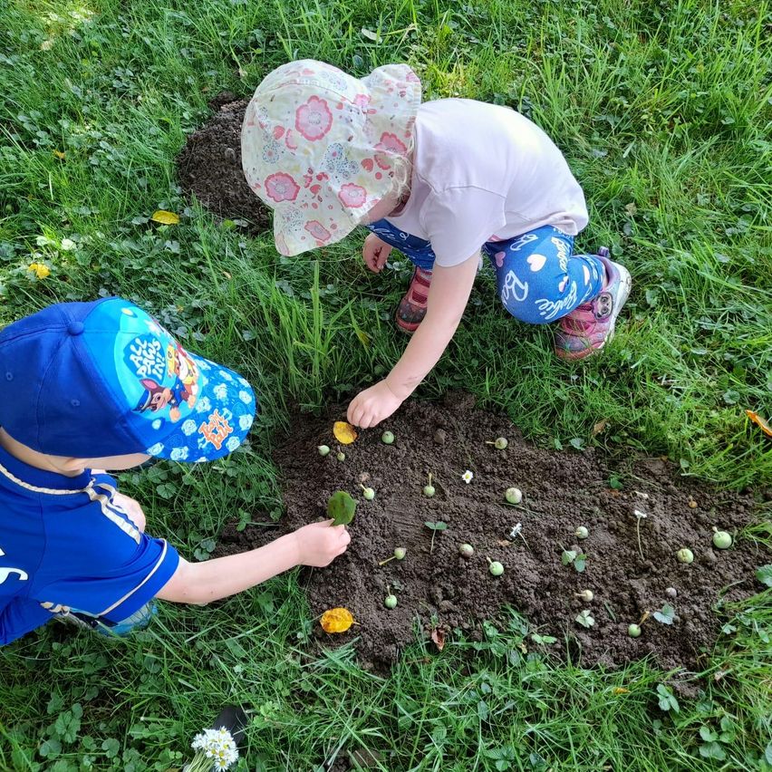 Zwei Kinder pflanzen Samen in die Erde auf einem sonnigen Feld. Eines trägt einen blauen Hut und ein blaues Shirt, das andere einen rosa Hut und einen rosa Schuh.