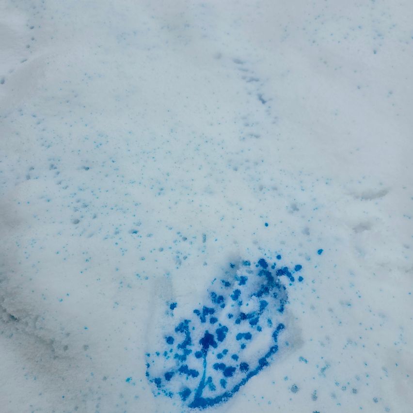 Eine Nahaufnahme von Schnee mit einem in Blau gemalten Blattmuster. Der Schnee ist weiß mit kleinen blauen Flecken.