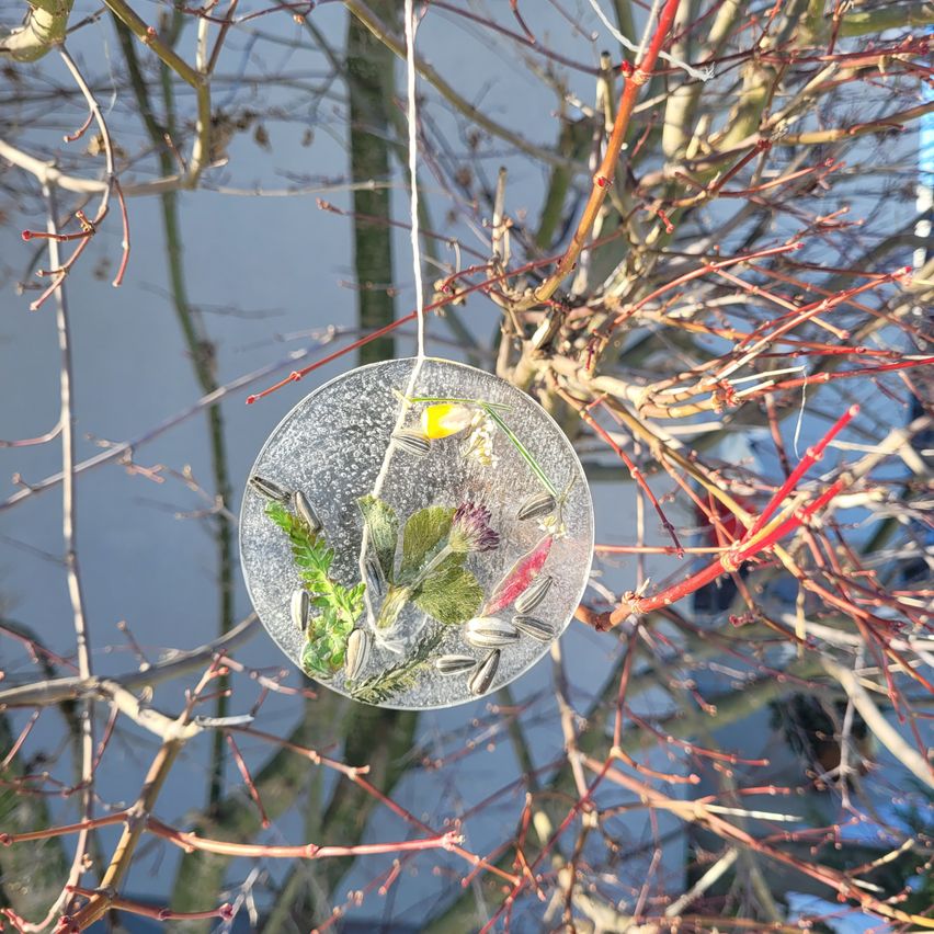 Ein kreisförmiges Glasornament mit getrockneten Blumen und Blättern hängt von einem Ast. Das Ornament hat eine eisige Ausstrahlung.