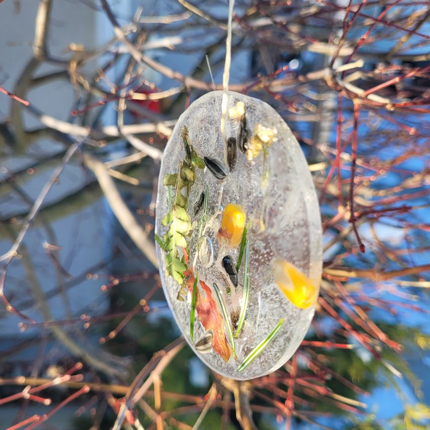 Ein eingefrorenes ovales Ornament mit getrockneten Blättern und kleinen Objekten darin hängt an einem Ast.
