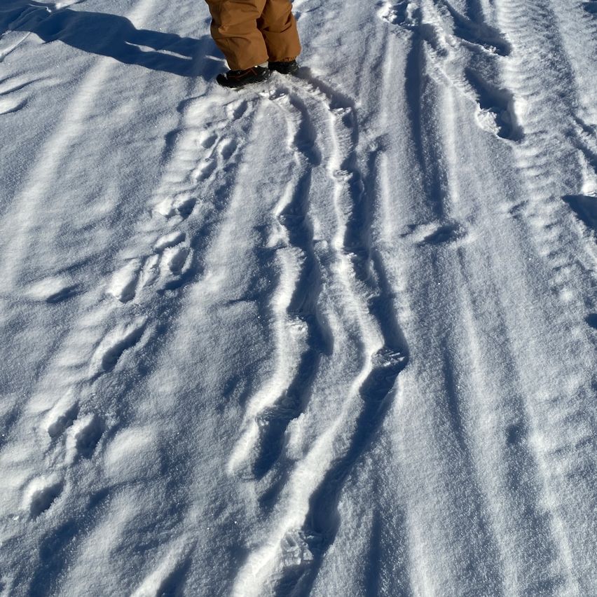 Eine Person steht auf Schnee mit Spuren vor und hinter ihnen. Der Schnee ist weiß mit sichtbaren Fußabdrücken.