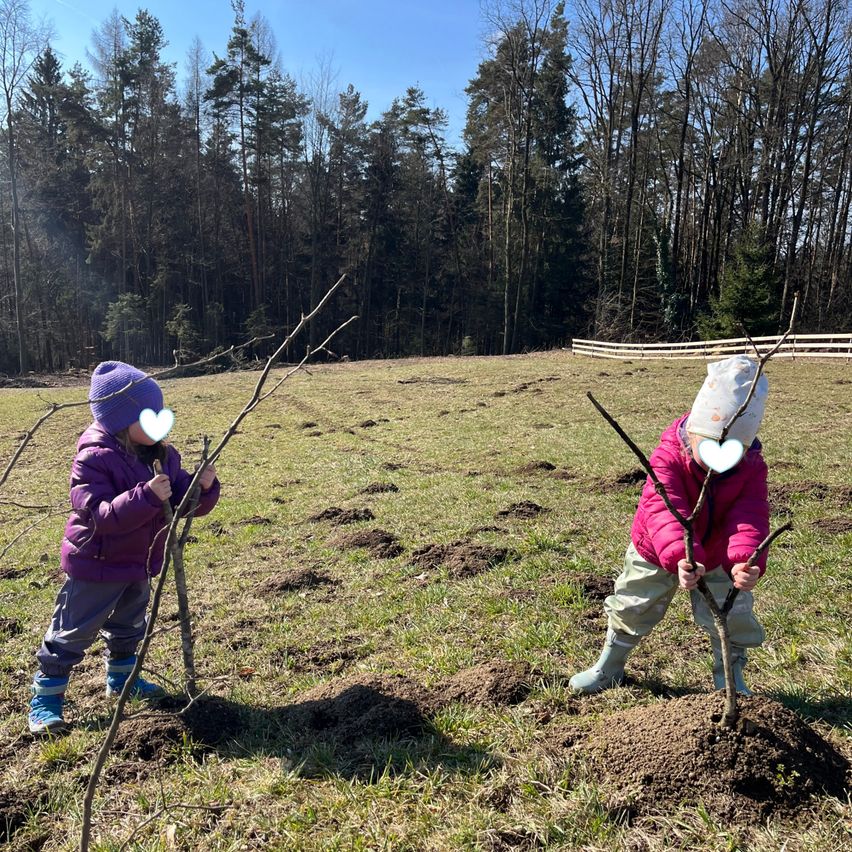 Zwei Kinder pflanzen kleine Zweige in einem Grasfeld mit Bäumen im Hintergrund. Ein Kind trägt einen lila Mantel und das andere einen rosa Mantel. Beide haben Herzsticker auf dem Kopf.