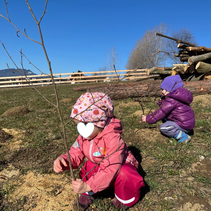 Zwei kleine Kinder pflanzen einen Baum. Eines hält einen Ast, während es kniet, und das andere hockt und hält einen Ast. Dahinter befindet sich ein Holzzaun, ein Haufen Holzscheite und ein Pferd. Im Hintergrund sind ein Berg und ein klarer blauer Himmel zu sehen.