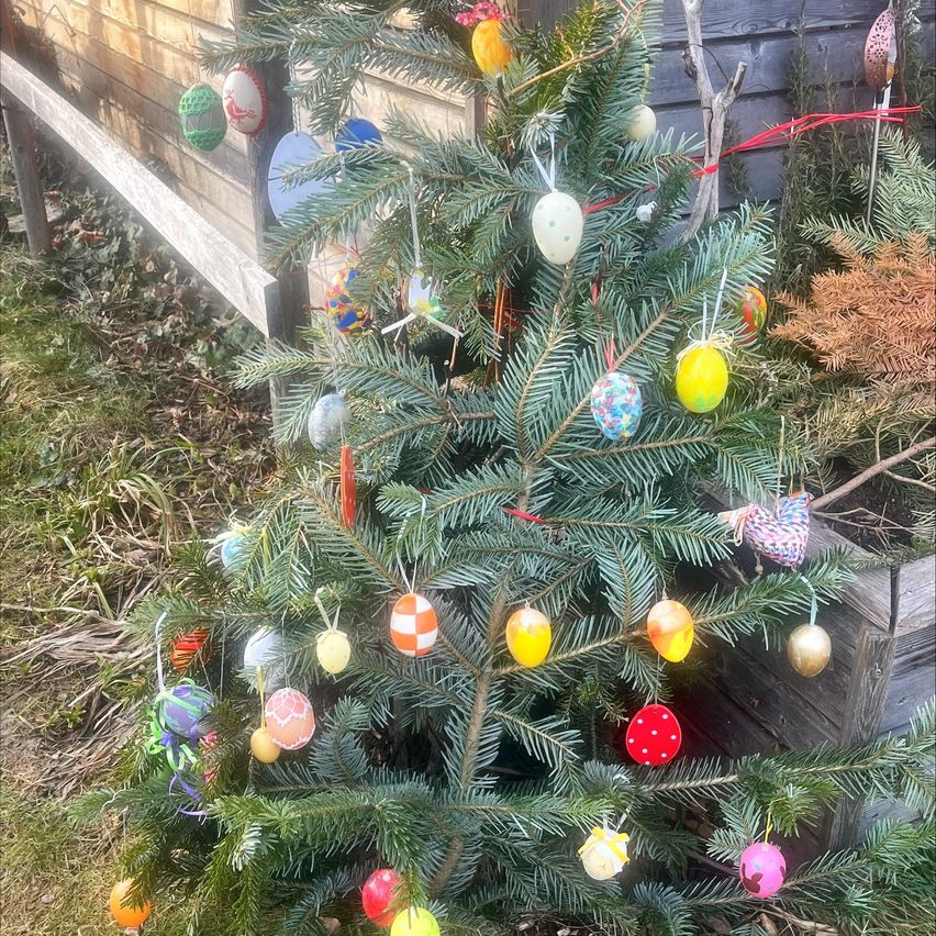 A small pine tree decorated with colorful Easter eggs stands in a garden. The tree is surrounded by wooden fences, and there is a wooden planter box nearby.