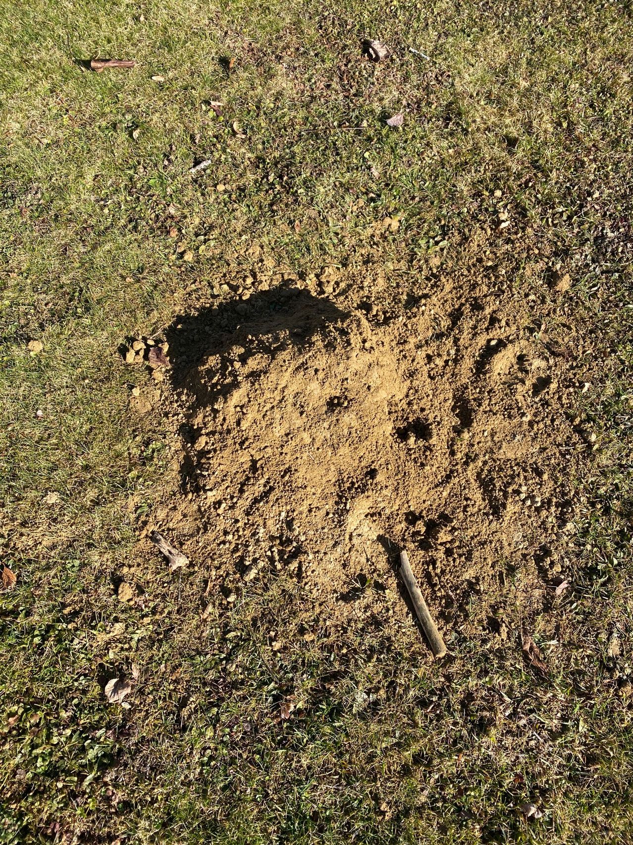 Eine oberirdische Ansicht eines kleinen Haufens Erde und Boden mit etwas Gras drumherum.