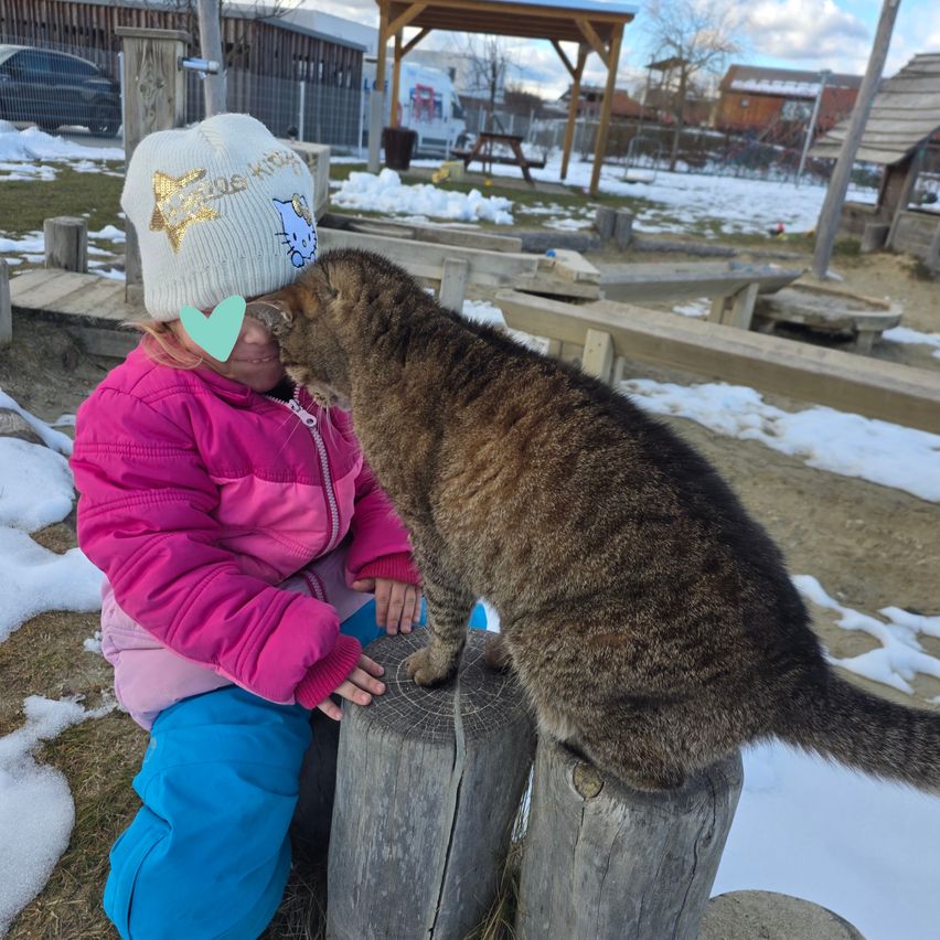 Ein Kind in einer rosa Jacke sitzt auf einem Baumstumpf in schneebedeckter Umgebung und küsst eine große Katze auf die Wange.
