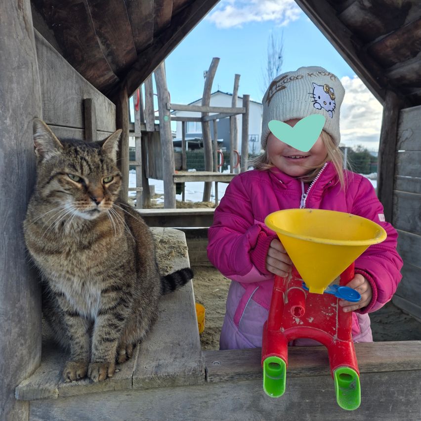 Ein kleines Mädchen in einer rosa Jacke und einer Hello Kitty-Mütze spielt mit einem gelben Trichter. Neben ihr sitzt eine getigerte Katze auf einer Holzbank. Die Szene spielt sich in einem Außenspielbereich mit einem Holzzaun und bewölktem Himmel ab.