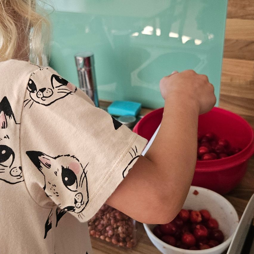 Ein junges Mädchen mit einem Katzen-T-Shirt steht an einem Tresen und greift nach einer Schüssel mit Kirschen. Dahinter steht eine rote Schüssel voller Kirschen und eine grüne Wand.