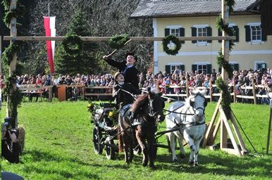 Zwei Personen reiten auf einem von Pferden gezogenen Wagen auf einem Feld, während viele Menschen im Hintergrund zusehen. Das Pferd zieht den Wagen, und vor dem Gebäude befindet sich ein Zaun.