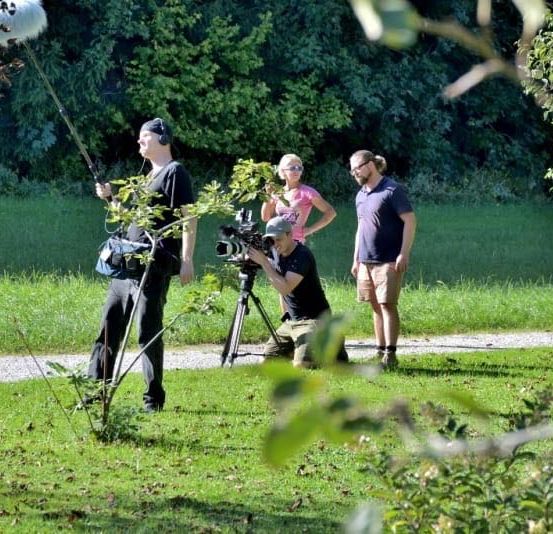 Bild enthält, Grass, Adult, Male, Man, Person, Hat, Vegetation, Headphones, Outdoors, Handbag