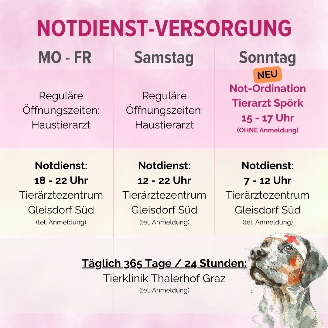 Bild enthält, Advertisement, Poster, Text, Canine, Dog, Mammal, Pet, Business Card, Paper, Menu