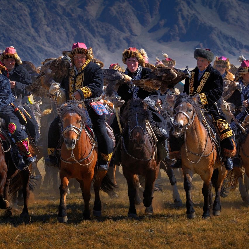 Bild enthält, Adult, Female, Person, Woman, Male, Man, Animal, Horse, Mammal, Horseback Riding