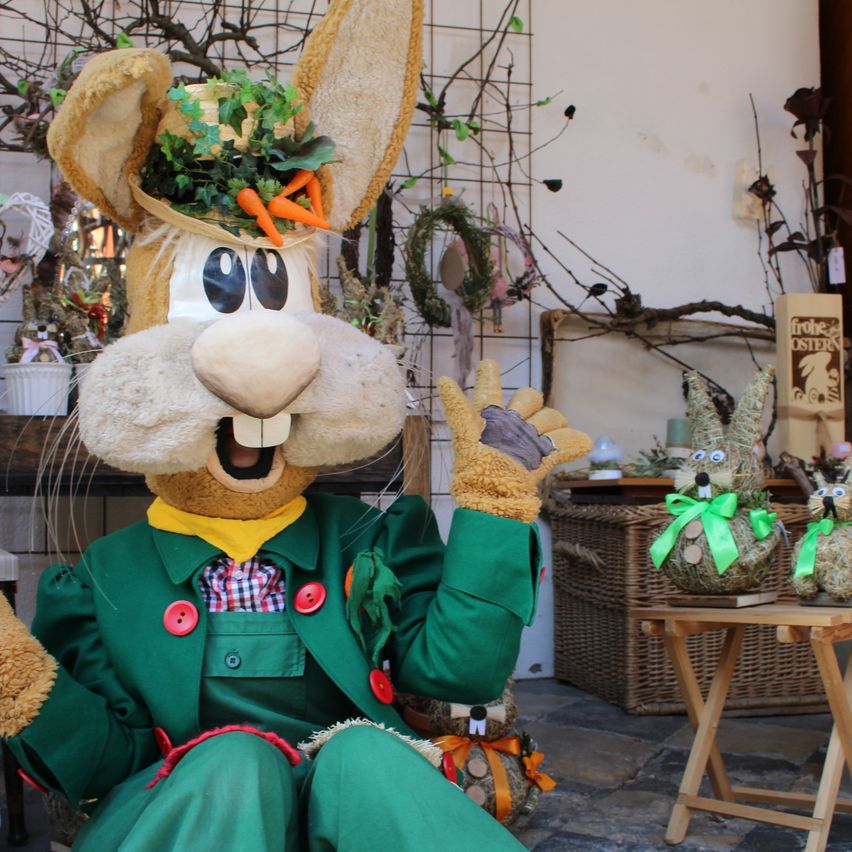 Bild enthält, Flower, Flower Arrangement, Plant, Flower Bouquet, Person, Adult, Female, Woman, Face, Mascot