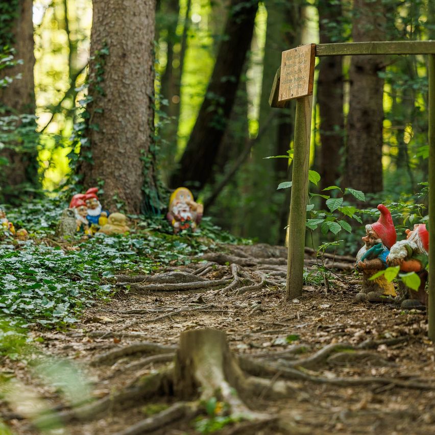 Ein Weg im Wald ist mit Gartenzwergen geschmückt. Holzstrukturen und ein Holzschild sind sichtbar.