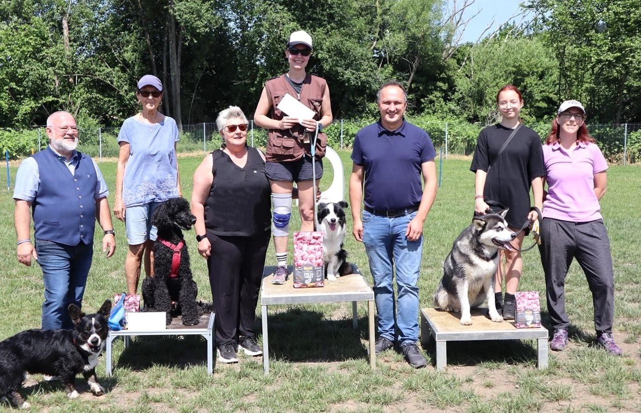Eine Gruppe von Menschen und Hunden steht auf Podests in einem Park. Eine Frau hält ein Zertifikat. Ein lächelnder Mann und eine Frau stehen neben Hunden. Bäume sind im Hintergrund.