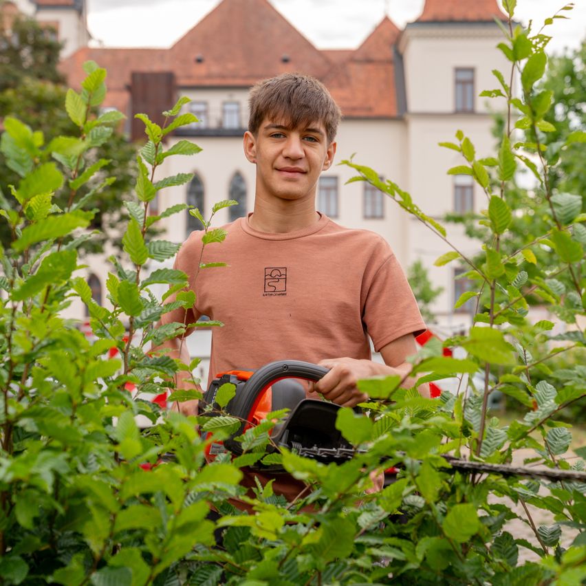 Ein junger Mann in einem braunen T-Shirt schneidet Büsche vor einem historischen Gebäude mit einer Kettensäge.