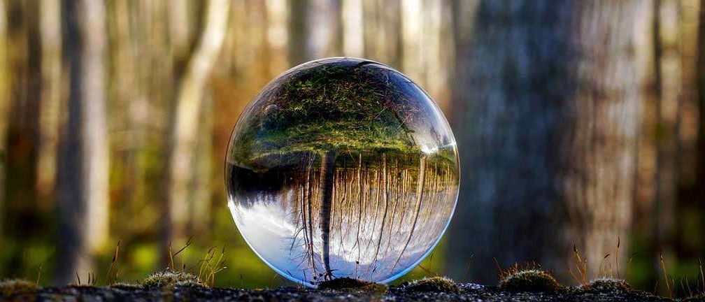 Eine Glaskugel liegt auf moosbedecktem Boden und reflektiert einen Wald. Bäume verschwimmen im Hintergrund, und Lichtfilter durch Blätter.