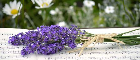 A bouquet of lavender flowers on an open music book. The flowers rest on the sheet music with a ribbon tied around them. The background features white flowers and green leaves.