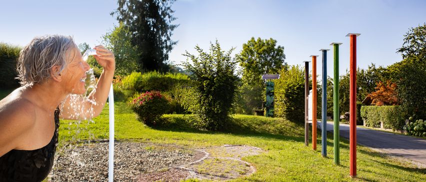 A well-maintained garden with a solar panel stands out against a backdrop of trees and shrubs. The garden is a blend of green grass and colorful plants.