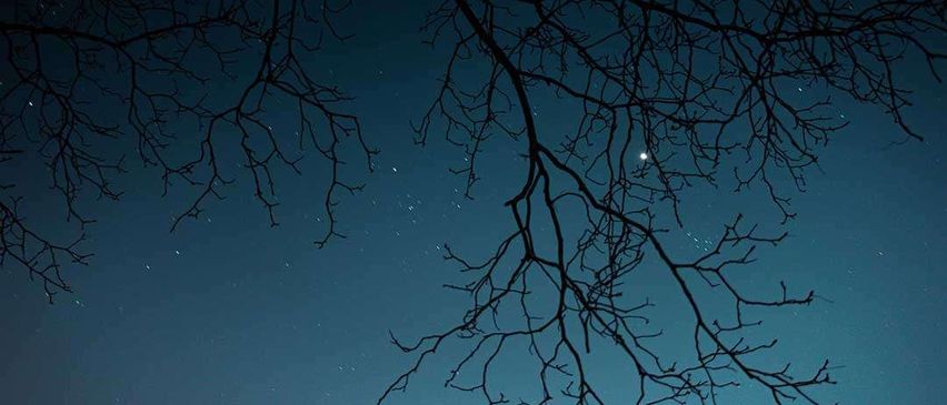 Bild enthält, Nature, Night, Outdoors, Starry Sky, Sky