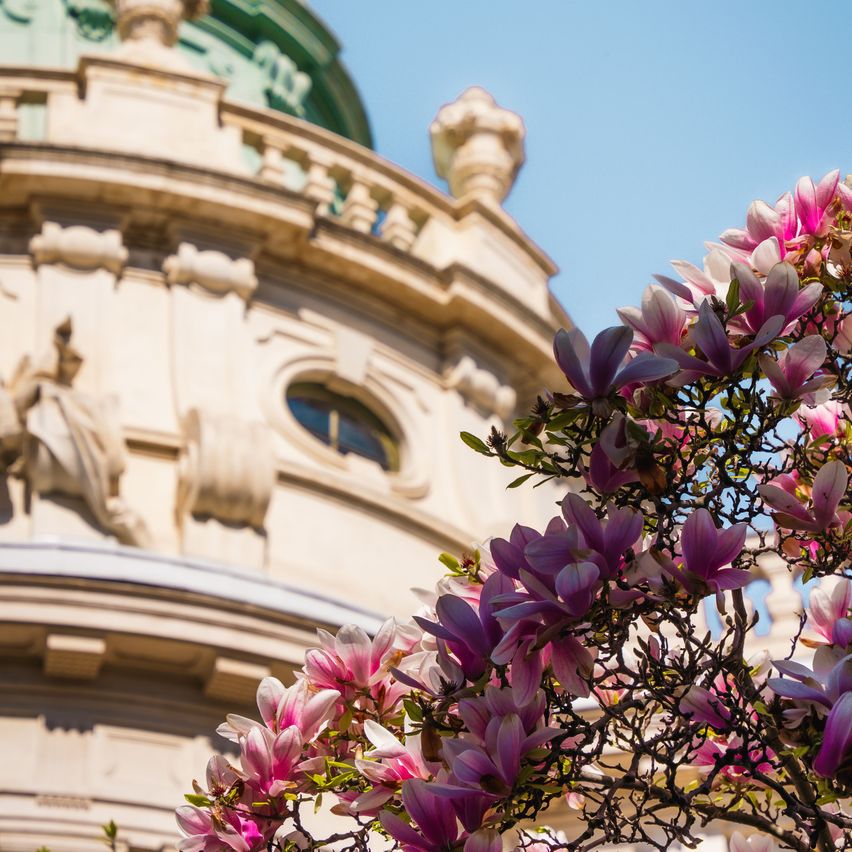 A grand architectural building with intricate designs, a dome roof, and a balcony with a view of blooming pink and purple flowers.