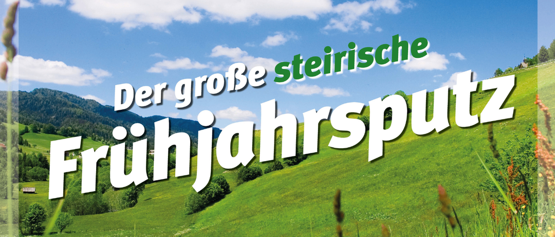 Plakat für die 'Steirische Frühjahrsputz' Veranstaltung am 28. März 2026. Zeigt eine grüne Landschaft mit Blumen, Bergen und einem klaren Himmel. Enthält Logos und QR-Codes für weitere Informationen.