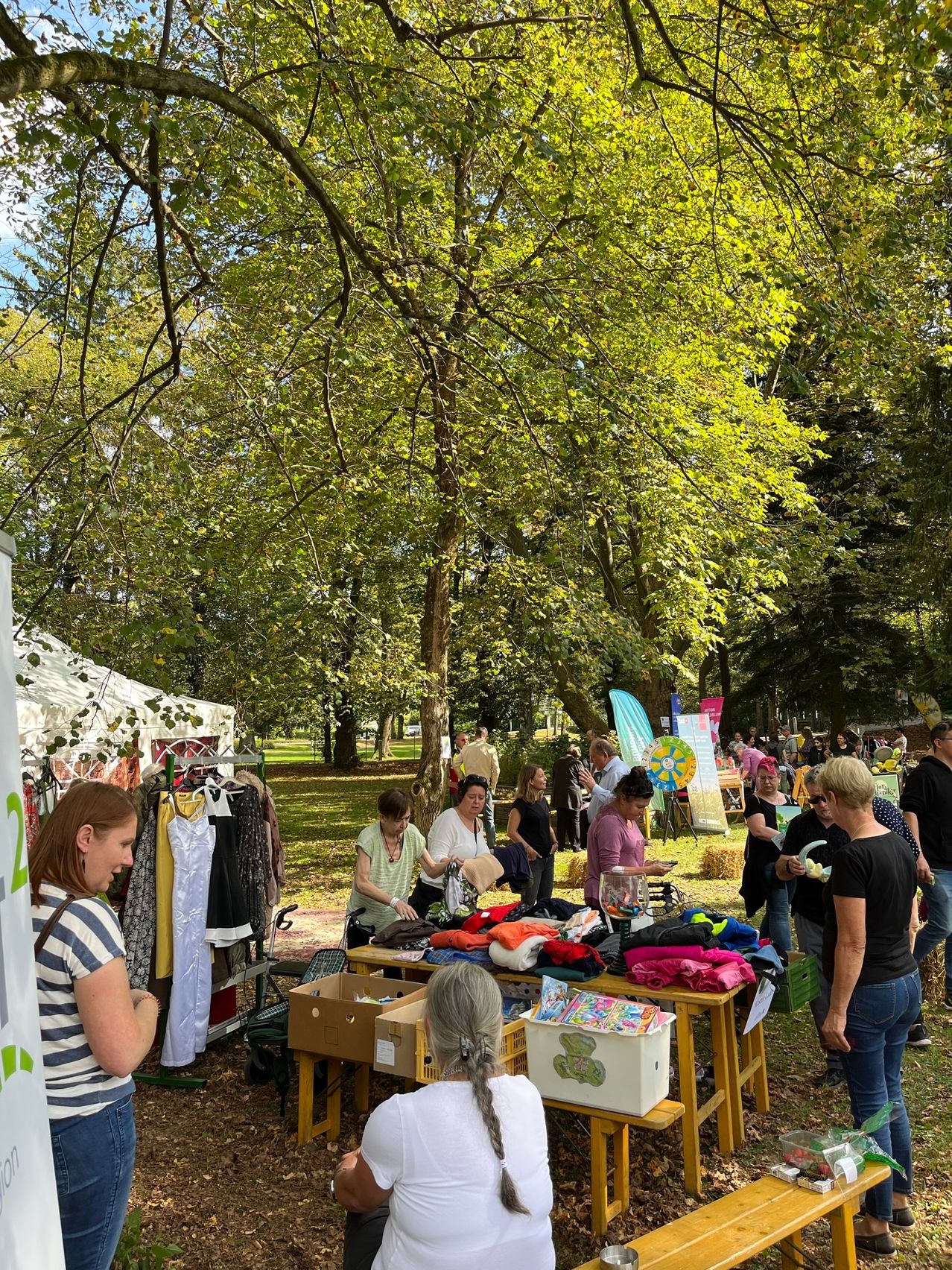 Bild enthält, Grass, Park, Tree, Adult, Female, Person, Woman, People, Male, Man