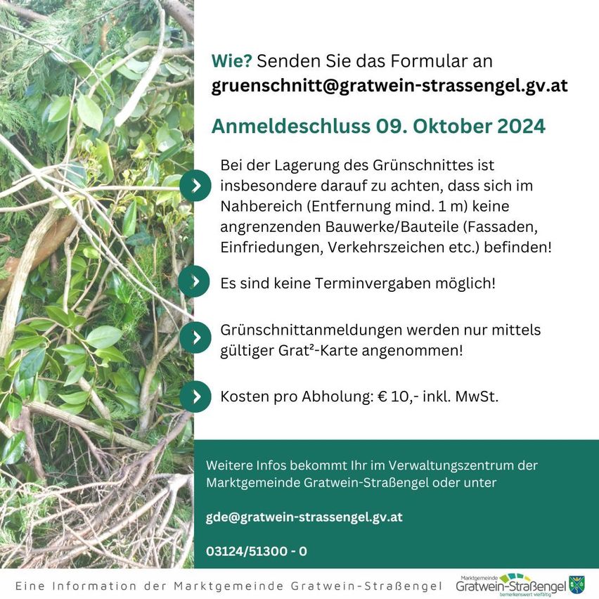 Bild enthält, Plant, Vegetation, Advertisement, Land, Outdoors, Rainforest, Tree, Poster, Herbal, Jungle