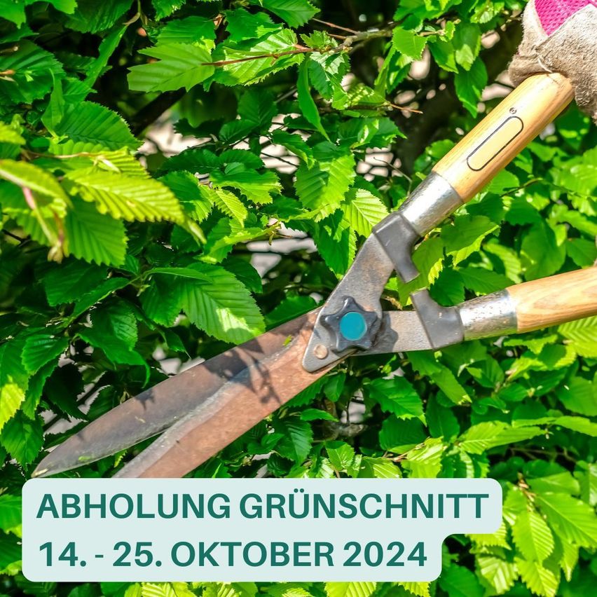 Bild enthält, Garden, Nature, Outdoors, Weapon, Blade, Gardening, Scissors, Axe, Dagger, Vegetation