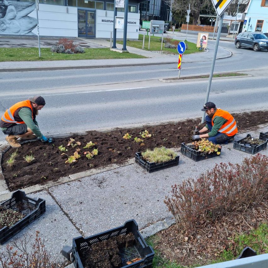 Zwei Männer arbeiten am Straßenrand an einem Blumenbeet und tragen orange Westen und Handschuhe.