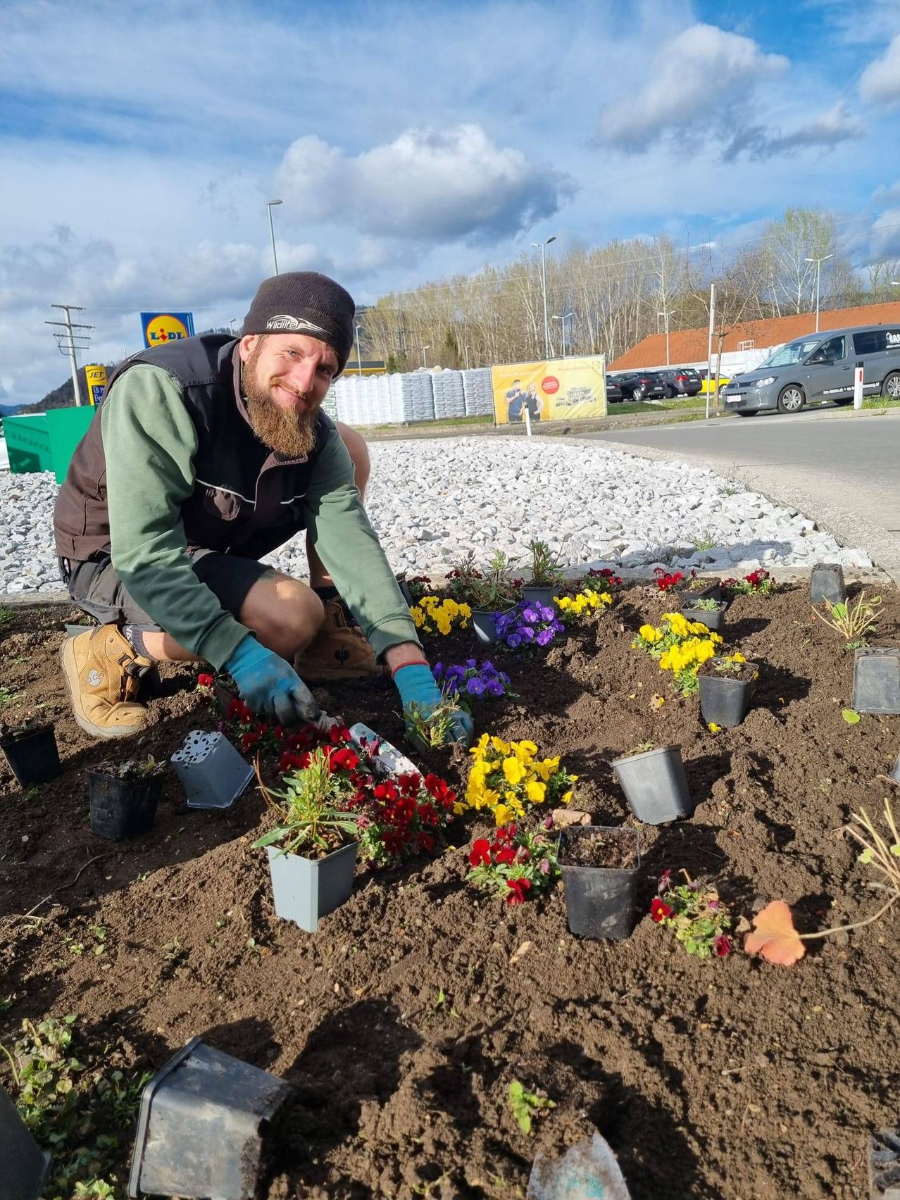 Ein bärtiger Mann pflanzt Blumen in die Erde. Die Blumen sind rot, gelb und lila.