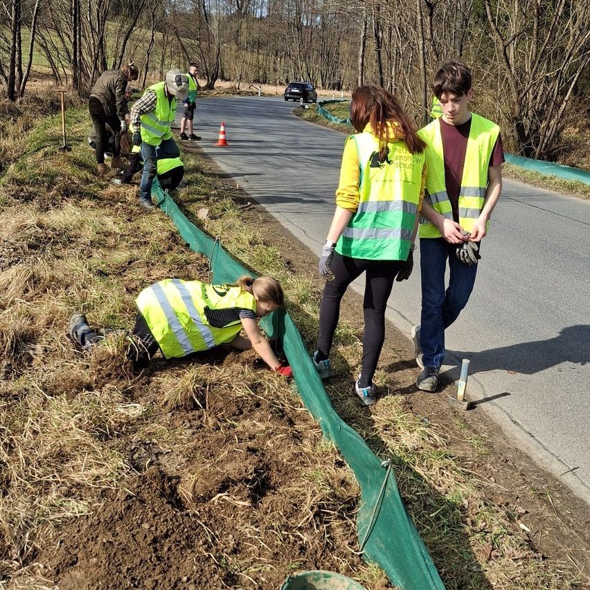 Bild enthält, Glove, Path, Shoe, Boy, Male, Person, Teen, Vegetation, Adult, Man