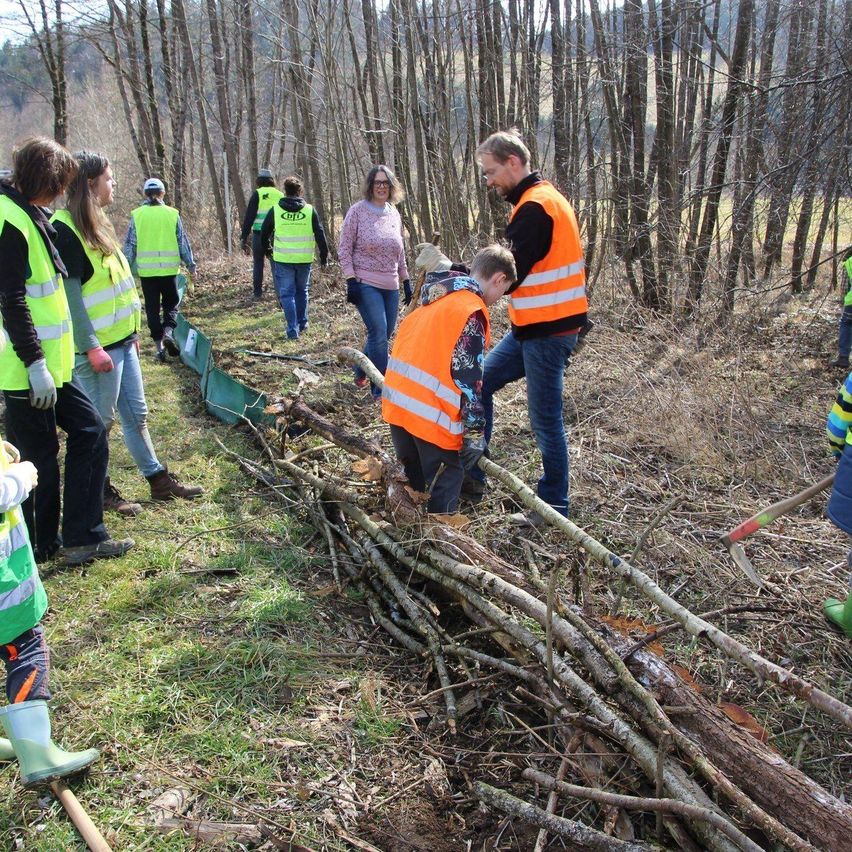 Bild enthält, Vegetation, Tree, Woodland, Hardhat, Pants, Glove, Person, Soil, Vest, Worker