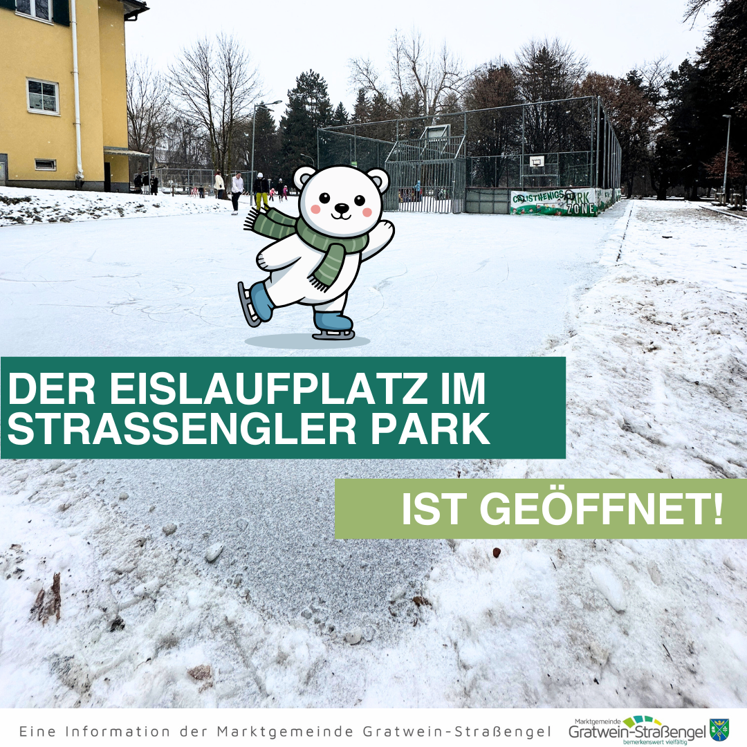 Ein Bild mit einer schneebedeckten Eislaufbahn. Ein Eisbär ist im Vordergrund beim Schlittschuhlaufen. Im Hintergrund befindet sich ein gelbes Gebäude und ein Basketballplatz.