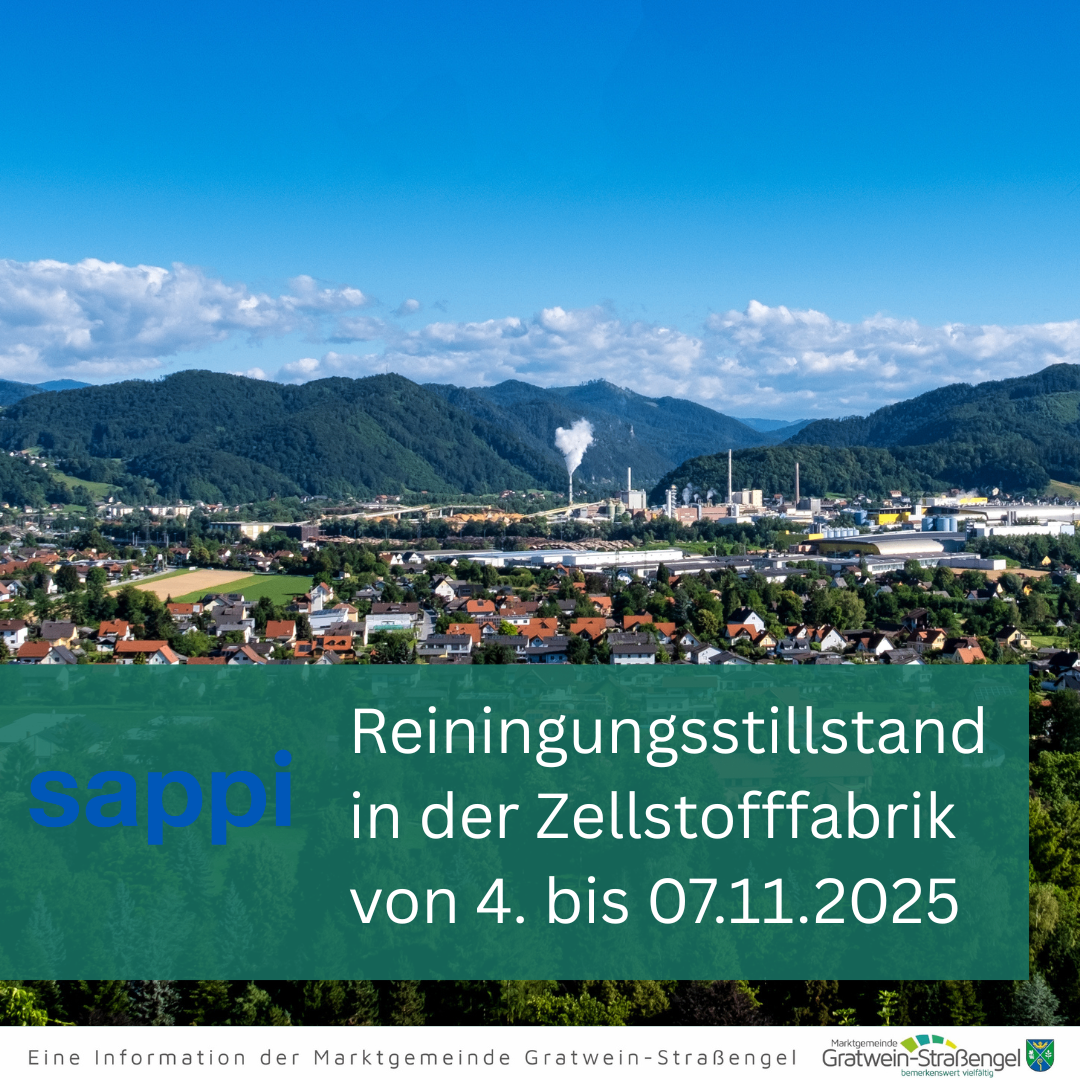Eine Stadt mit Bergen und einer Fabrik. Hinweistafel: 'Reinigungsstillstand in der Zellstofffabrik von 4. bis 07.11.2025'.