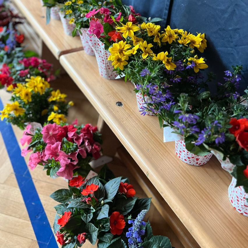 Eine Holzbank hält eine Reihe von Blumenvasen in Rot, Gelb, Pink und Lila. Jede Vase enthält eine Mischung aus Blumen. Der Hintergrund ist leicht verschwommen.