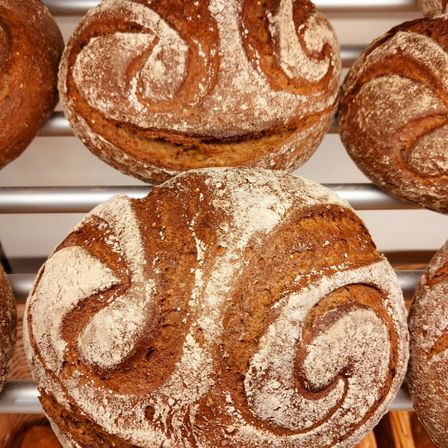 Buchweizen - Dinkel - Kruste