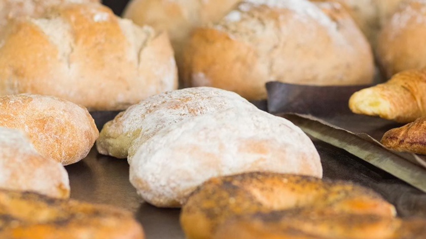 v1_migrated_image_95189931