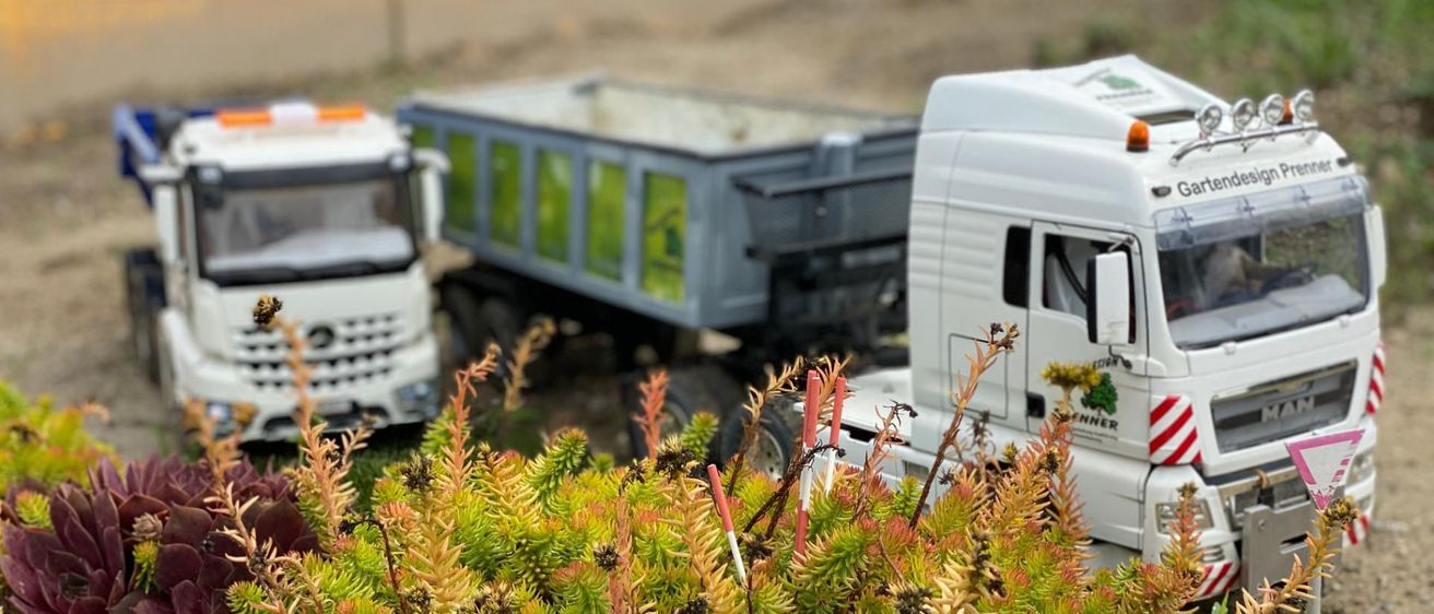 v1_migrated_image_97445365