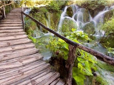 Bild enthält, Nature, Outdoors, Scenery, Land, Rainforest, Tree, Vegetation, Water, Jungle, Stream