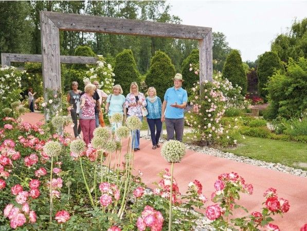 Bild enthält, Garden, Nature, Outdoors, Grass, Park, Potted Plant, People, Yard, Flower, Geranium