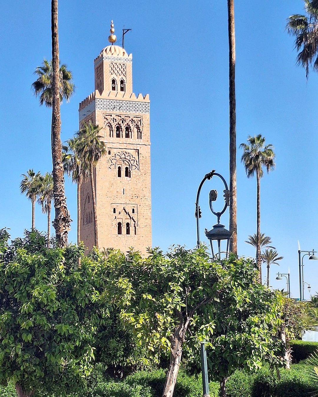 Bild enthält, Architecture, Bell Tower, Building, Tower, Clock Tower, Arch, Gothic Arch