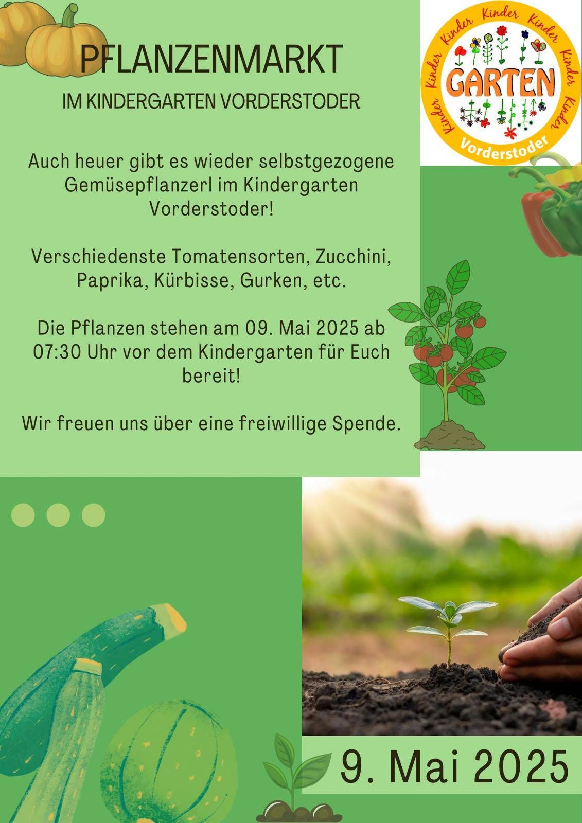 Ein Werbeplakat für selbstgezogene Gemüsepflanzen im Kindergarten. Es werden verschiedene Tomatensorten, Zucchini, Paprika, Kürbisse, Gurken usw. angeboten. Die Pflanzen stehen am 9. Mai 2025 ab 07:30 Uhr vor dem Kindergarten für Sie bereit.