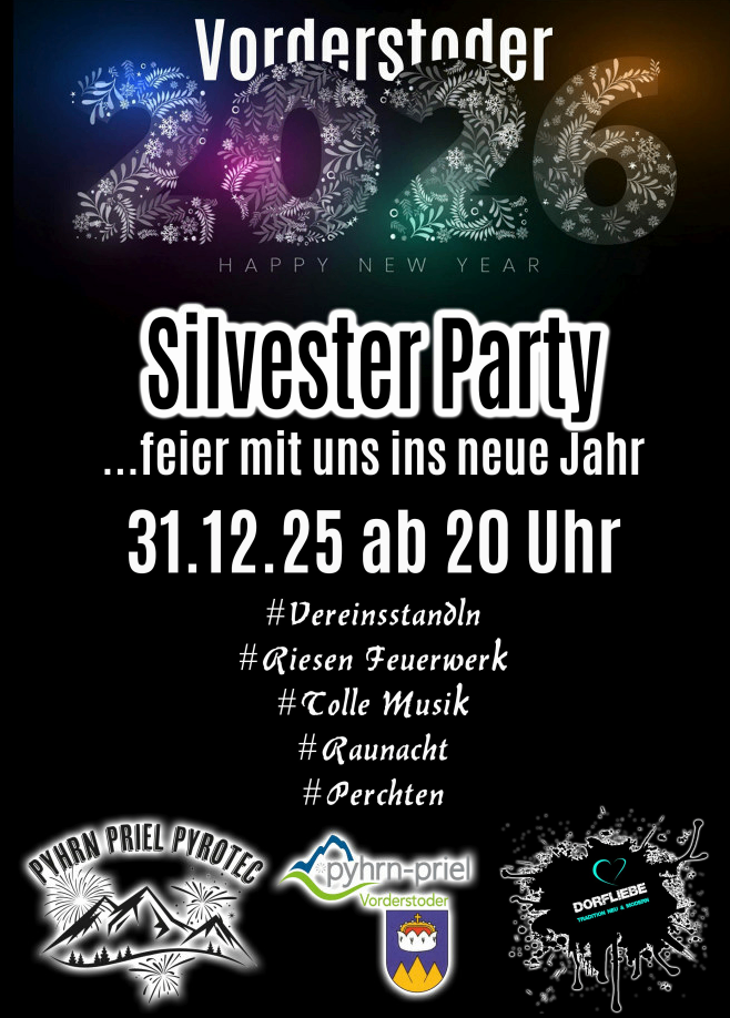 Werbeposter für die Silvesterparty, Feier mit Feuerwerk, Musik und Mitternachtszählung. Veranstaltung am 31. Dezember, Beginn um 20 Uhr.