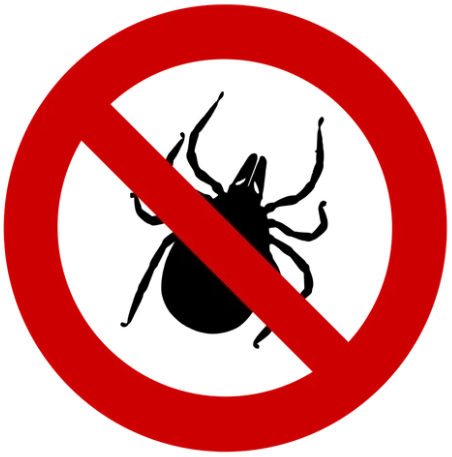 Ein roter Kreis mit einem Strich durch ein Zeckensymbol, was Verbot anzeigt.