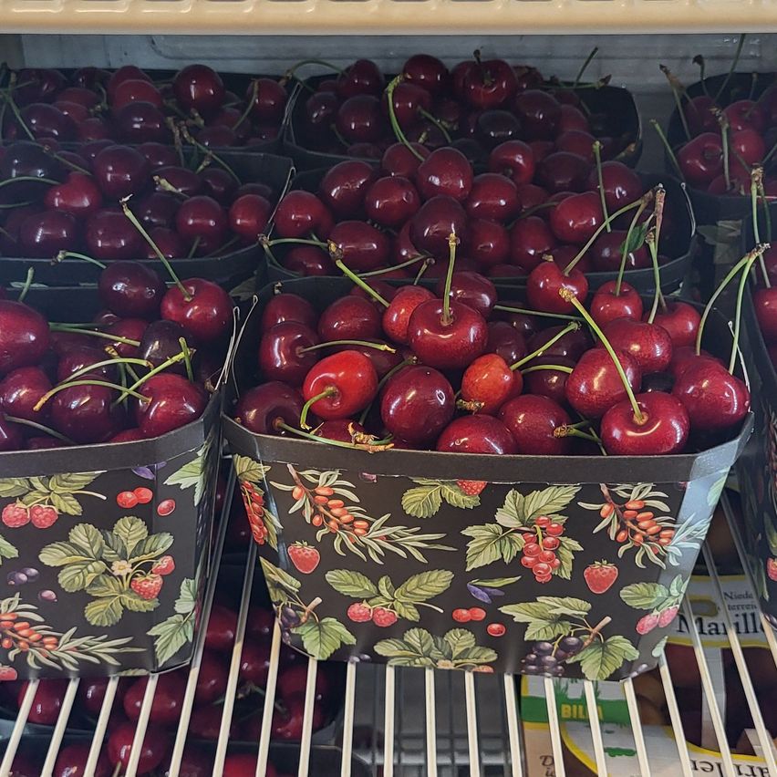 Mehrere Schachteln mit Kirschen sind in einem Kühlschrank ausgestellt. Die Kirschen sind rot mit grünen Stielen. Jede Schachtel hat ein schwarzes und grünes Blumendesign.