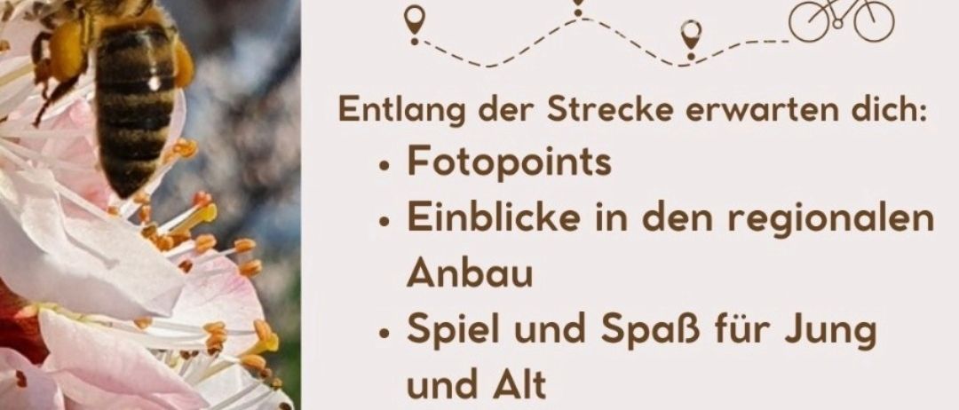 Ein Flyer zeigt eine Biene auf einer Blume mit einem Zeitplan für Samstag, den 28. März 2026, von 13:00 bis 14:30 Uhr bei Schreibers Obst- und Gemüseständen. Der Flyer hebt Fotopunkte, Einblicke in den regionalen Ausbau, Spiele und Spaß für Jung und Alt, Raststationen und eine herzliche Begrüßung hervor.